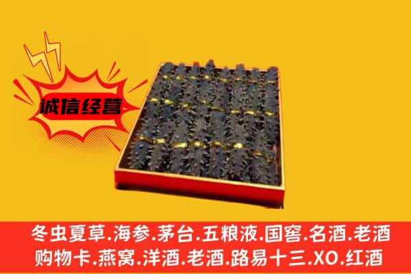 历城区回收海参